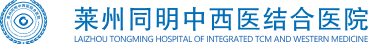 laizhou_logo1