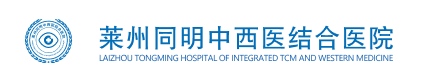 laizhou_logo